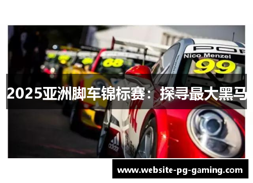 2025亚洲脚车锦标赛：探寻最大黑马