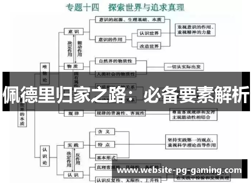 佩德里归家之路：必备要素解析