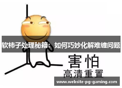 软柿子处理秘籍：如何巧妙化解难缠问题