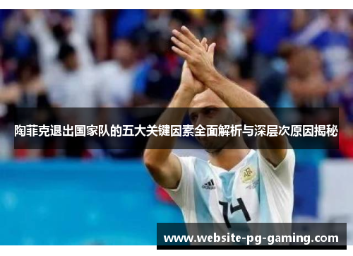 陶菲克退出国家队的五大关键因素全面解析与深层次原因揭秘